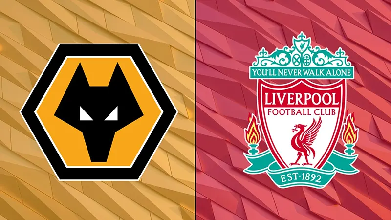 Link trực tiếp Wolves vs Liverpool, 18h30 16/09/2023
